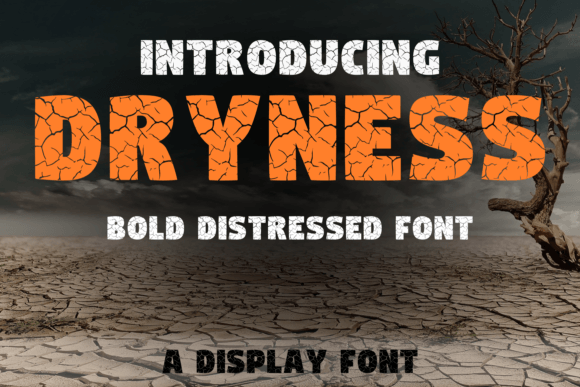 Dryness: A Display Font for Bold Digital Branding