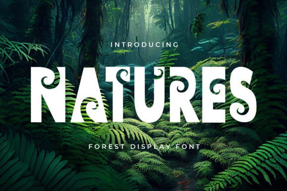 Natures: A Designer's Honest Review for Real Projects