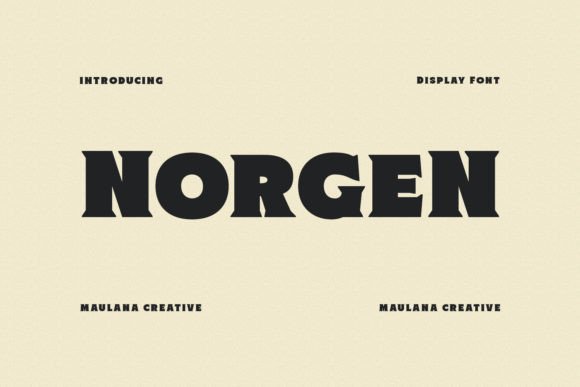 Norgen: A Designer's Honest Review for Real Projects